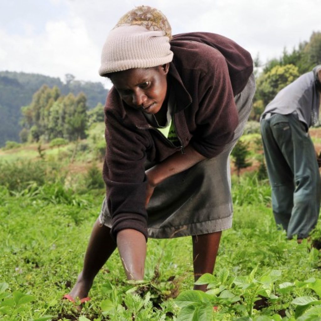 Farmer’s Day Nov 4 not public holiday