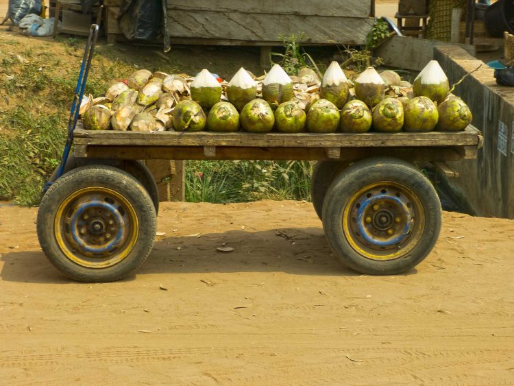 Ex-convict returns to prison for stealing coconut