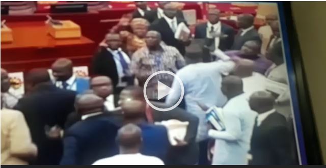 VIDEO: Watch MPs in a scuffle at Parliament