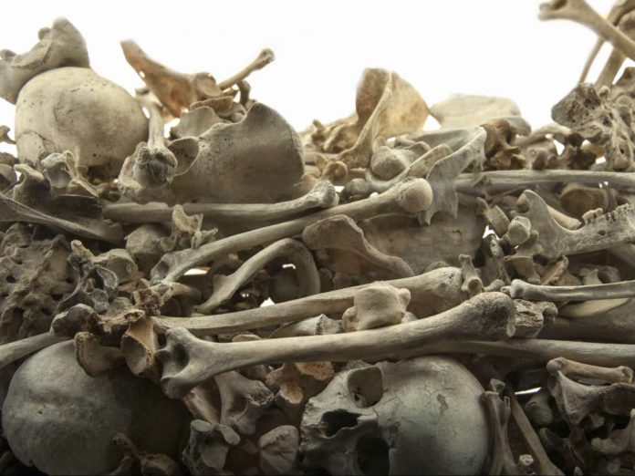 Police are not magicians – Sam Pyne on discovery of skeletons