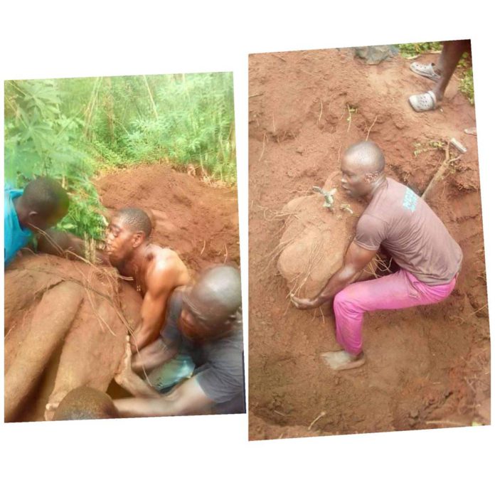 Photo: Farmer harvests ‘biggest’ yam in history