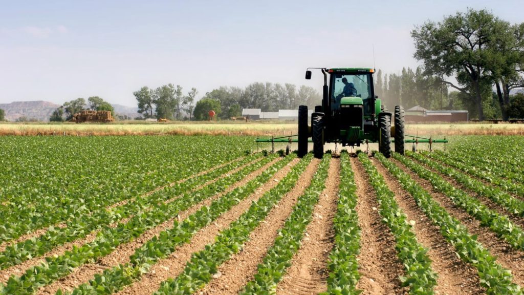 Zimbabwe to revive farming sector with  Million disbursement to farmers