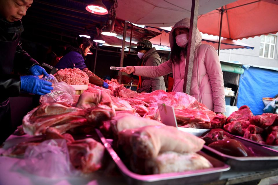 Coronavirus: China bans wildlife trade nationwide amid outbreak