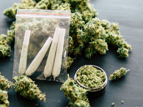 Parliament legalises growing of some cannabis for health, industrial use not smoking