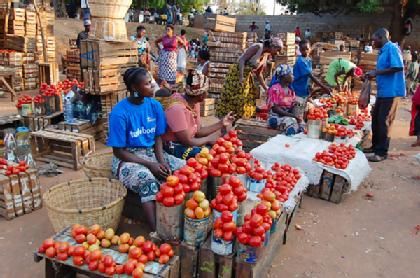 Tomato price increment is not as a result of Coronavirus – Market woman reveals