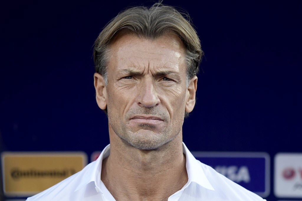 Afcon 2019: Everything you need to know about Herve Renard