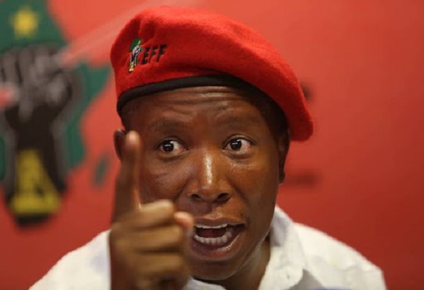 Malema COVID-19 warning: ‘Don’t go to church, It’s a trap,  you’ll die’