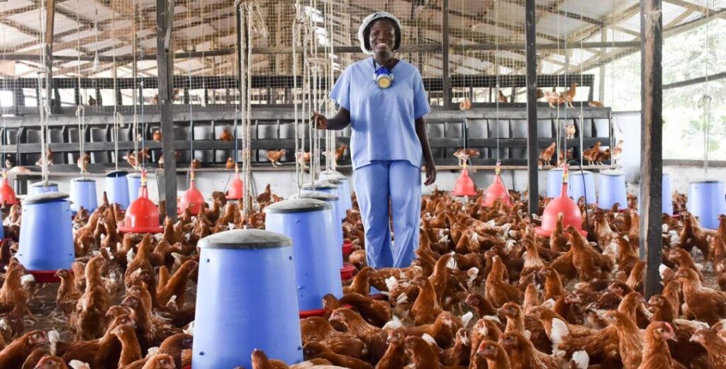 Poultry Farmers Association (GAPFA) commends gov’t for introducing ‘Planting for Foods and Jobs’
