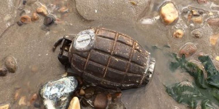 Grenade at our beaches could indicate a terrorist invasion – Security Expert warns