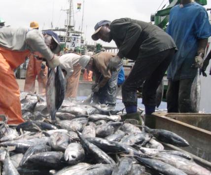 Kamgbunli fish disease: More than forty fisherfolk have lost their livelihoods- Assembly member