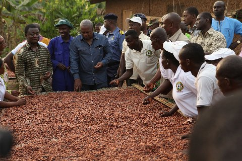 It is scandalous to say we didn’t give out free fertilizers to cocoa farmers – NDC