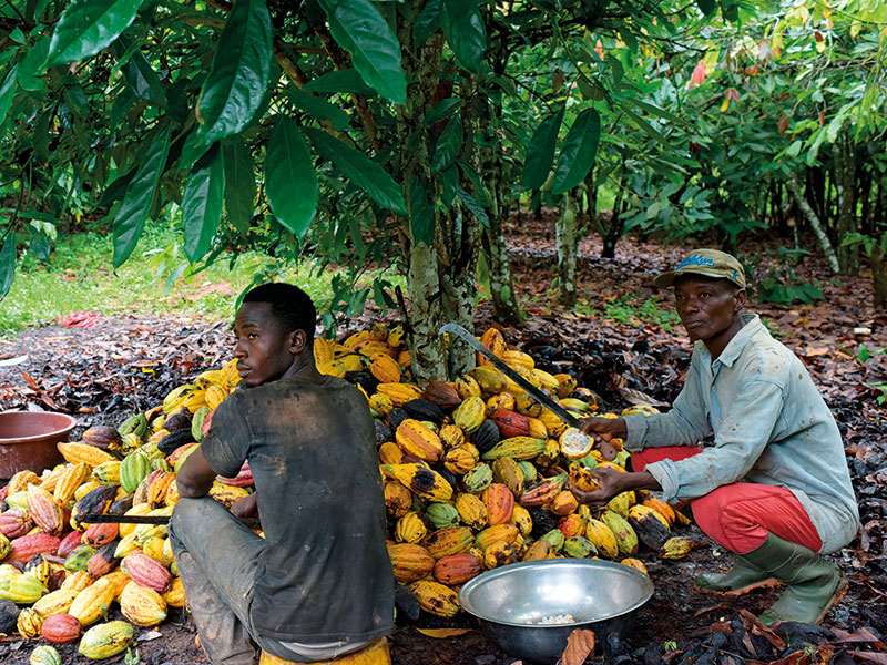 Cocoa farmers are living under better condition with   Nana Addo as President – Buaben Asamoa