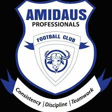 Relegation staring in the face of Amidaus Professionals