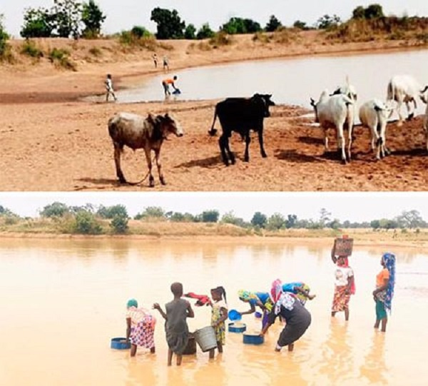 Influx of cattle at Wenchi: residents fear contracting diseases