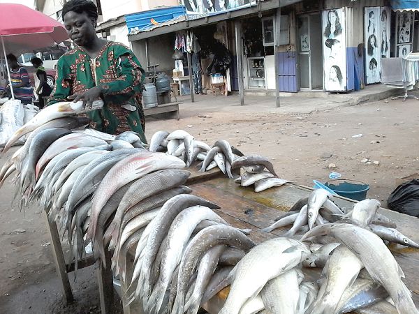 Fishes in the market are safe – FDA assures Ghanaians after fishes wash ashore