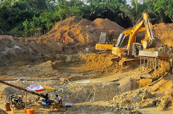 UTAG calls for instant ban on mining in forest reserves