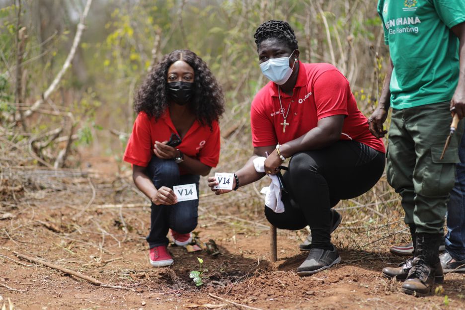 Green Ghana: Vodafone Ghana plants 4,000 trees throughout the month of June