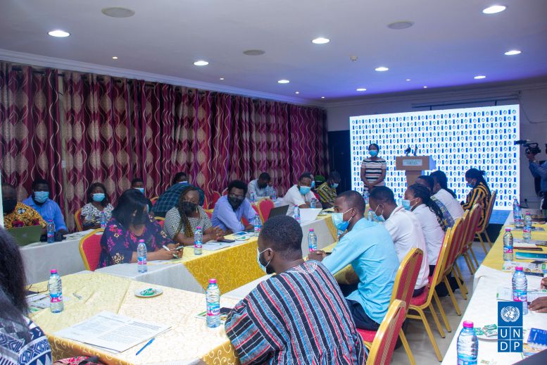 UNDP holds strategic communication capacity building training for 30 MSMEs