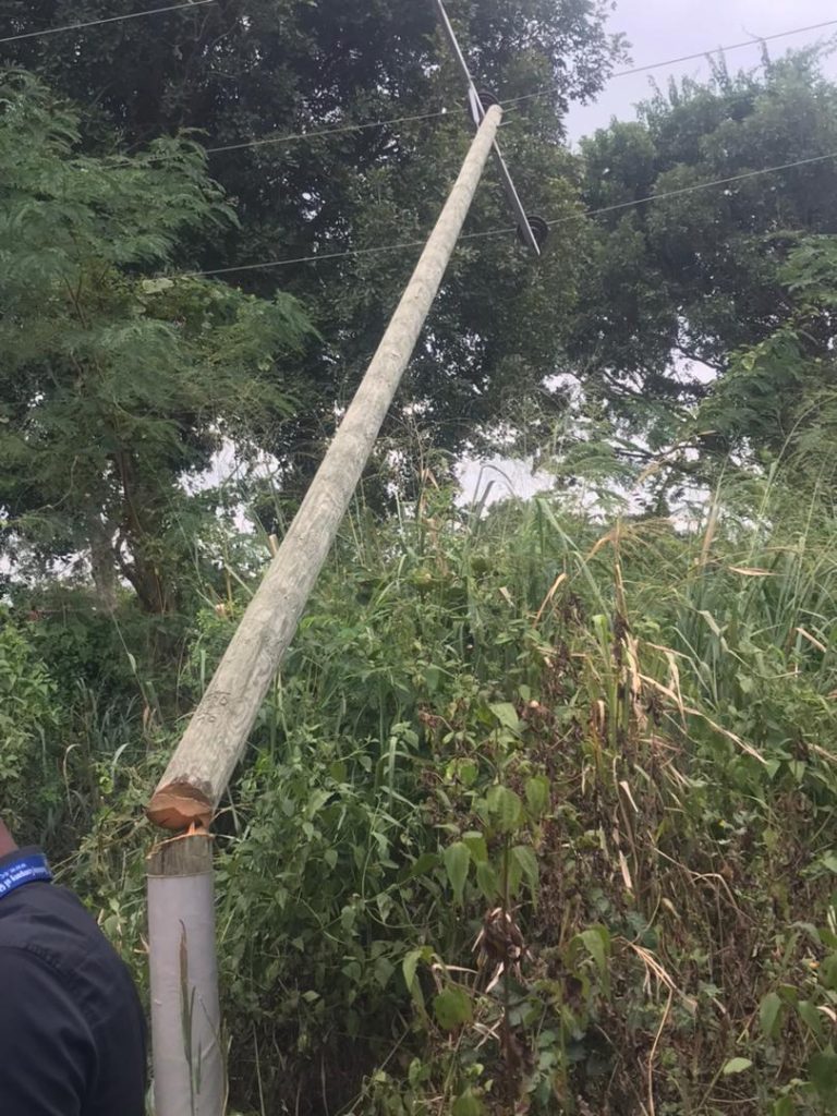 Unknown persons cut down ECG high voltage poles