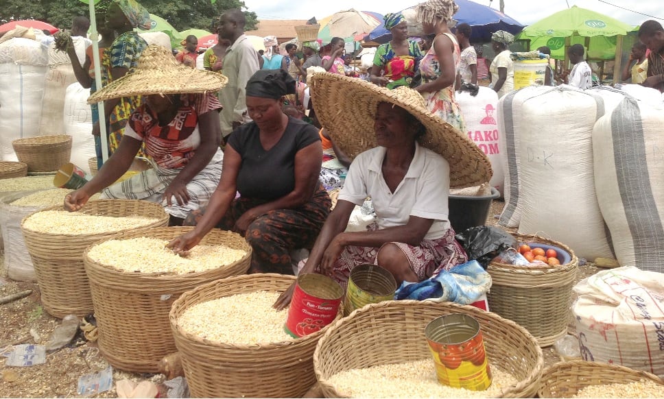 Maize shortage to hit Ghana by December – Agribusiness Expert