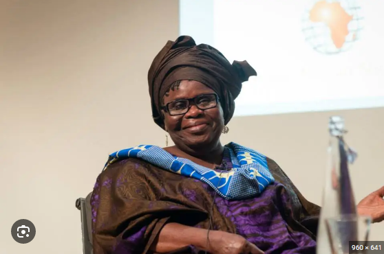 Ghana’s Ama Ata Aidoo reported dead