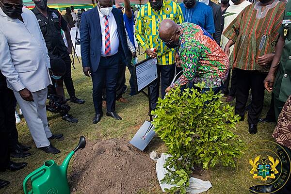 Green Ghana Day: I’m proud of Green Ghana success – Prez Akufo – Addo