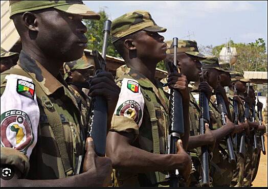 We’ve enough military resources – ECOWAS responds to critics