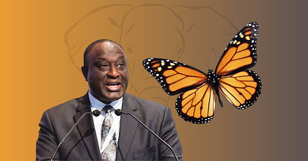 Alan Kyerematen’s Movement for Change: From Elephant to Butterfly