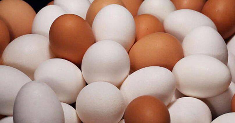 Consume eggs daily – Ghana Nat’l Egg Campaign