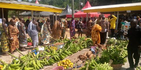 39th National Farmers’ Day celebration underway in Tarkwa today