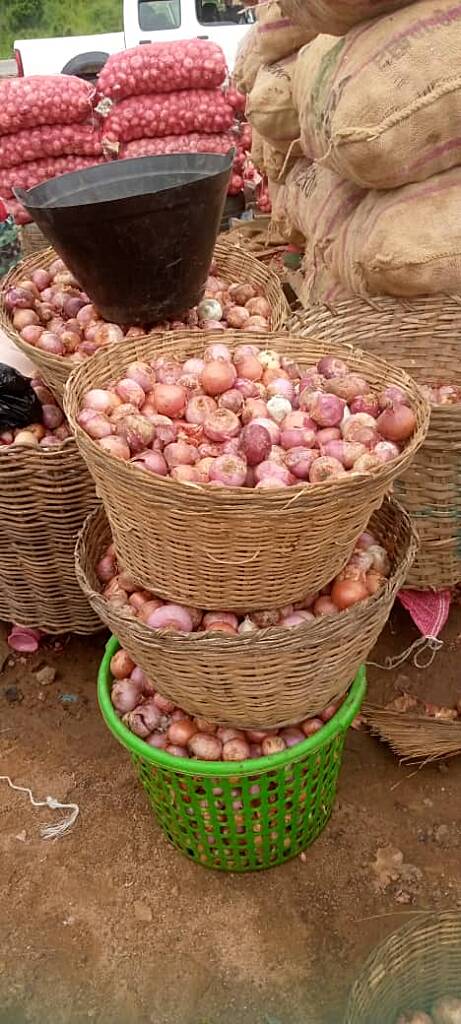 Price of Onion go up due to transportation challenges – Gomoa Dominase Onion Traders