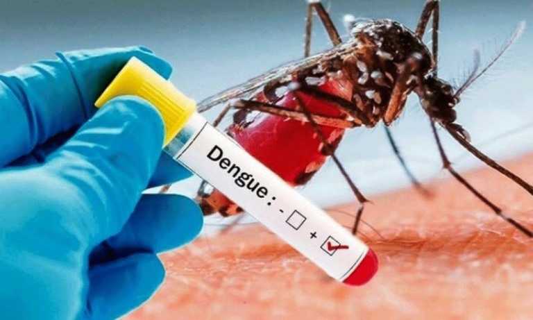 Ghana health services confirms 36 Cases of Dengue outbreak