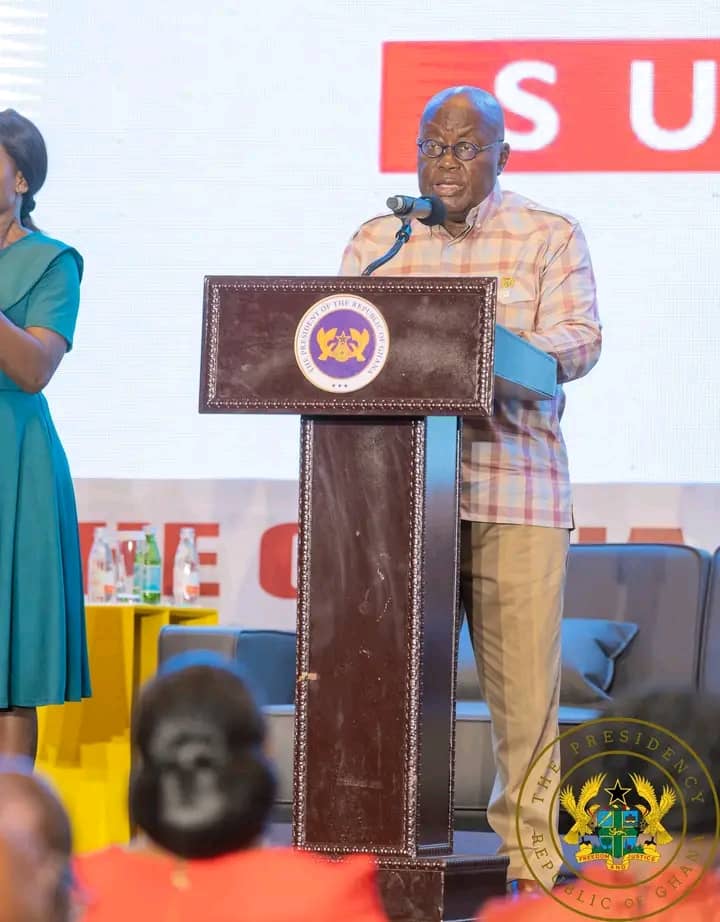 President Akufo Addo comments on Agyapadie document