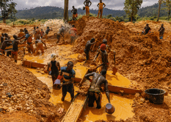 EPA orders immediate stop to illegal mining operations