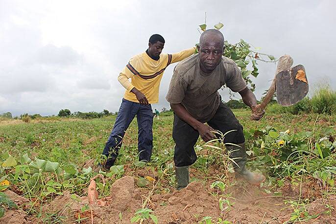 Ghana Agriculture Agribusiness Platform (GhAAP) to track farmers introduced