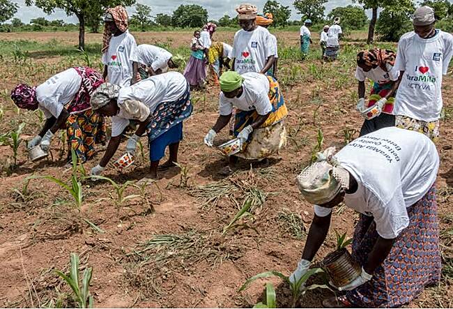 Peasant Farmers Association warns of impending food shortage due to galamsey