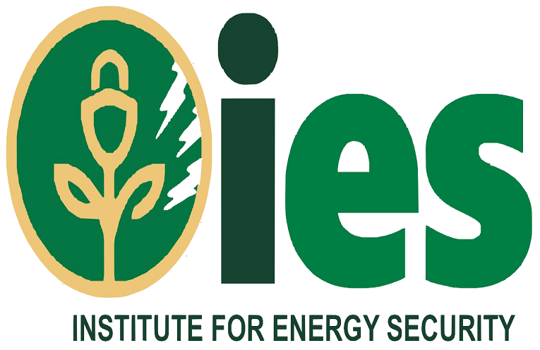 Proposed energy sector merger poses risk to electricity affordability- IES Warns