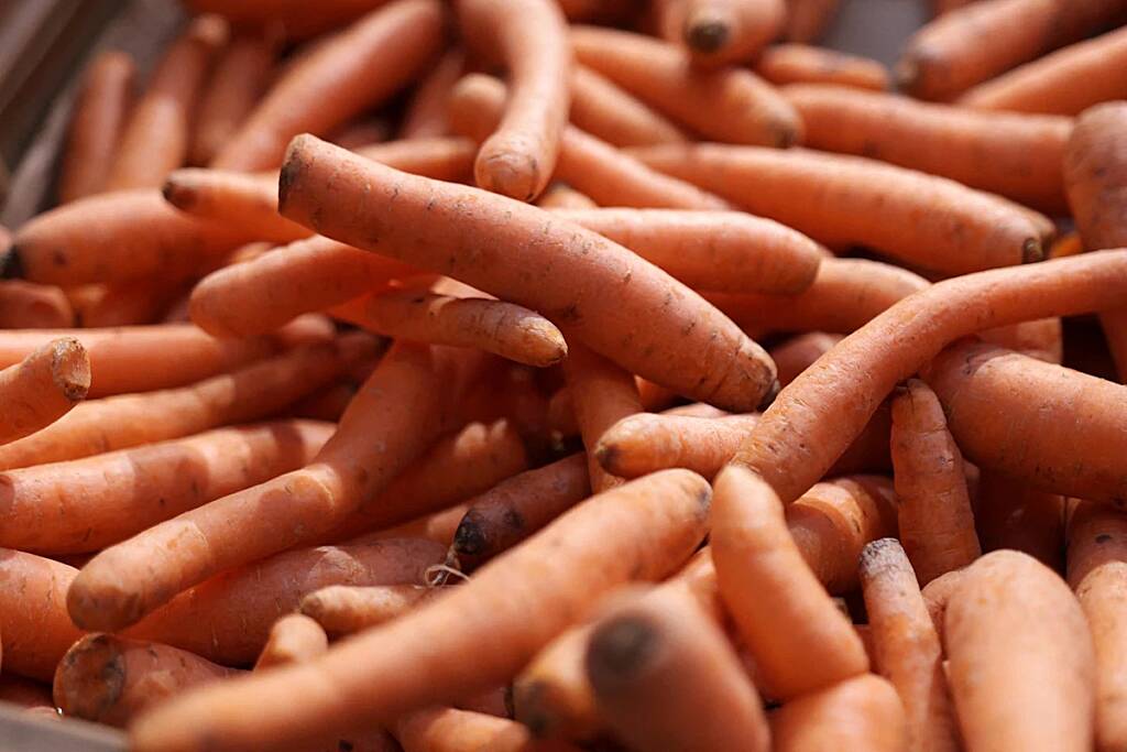 Mysterious illness outbreak linked to organic carrots in US